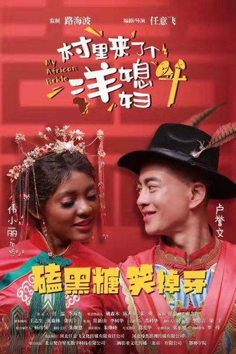 Póster de 村里来了个洋媳妇