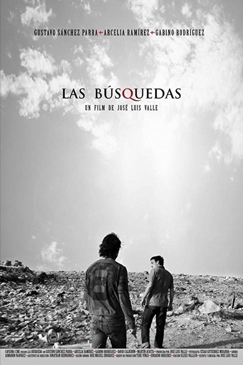 Póster de Las Búsquedas
