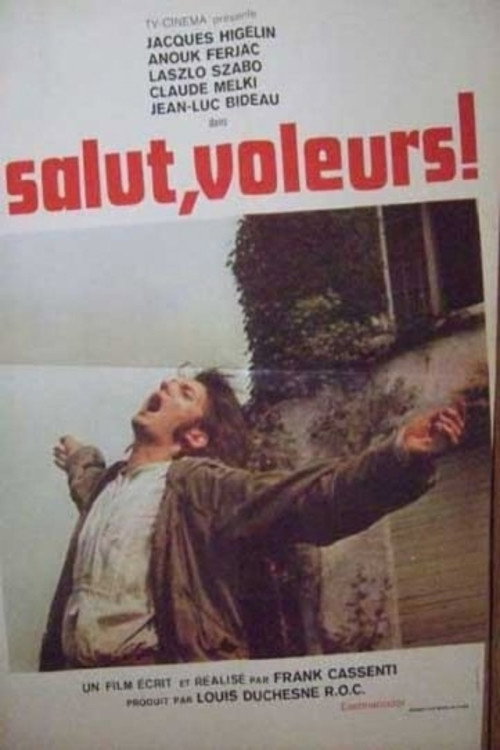 Póster de Salut, voleurs!