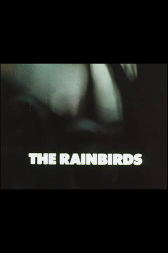 Póster de The Rainbirds