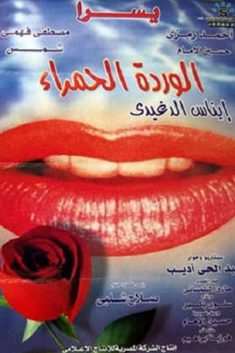 Póster de الوردة الحمراء