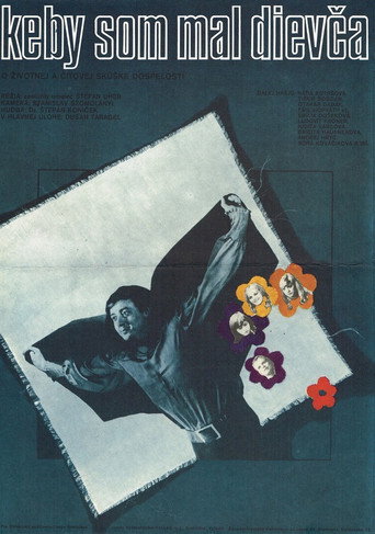 Póster de Keby som mal dievča