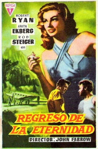 Póster de Back from Eternity