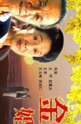 Póster de 金婚