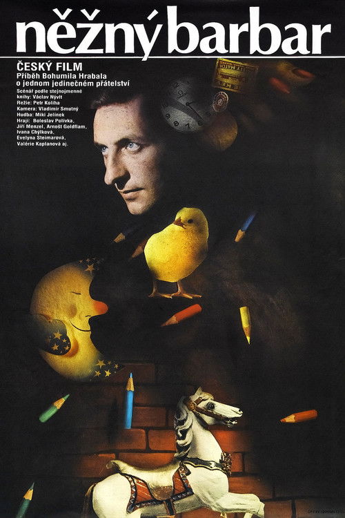 Póster de Něžný barbar