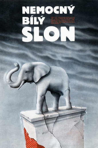 Póster de Nemocný bílý slon