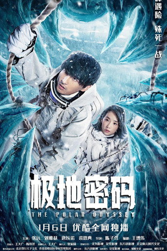 Póster de 极地密码