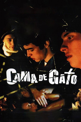 Póster de Cama de Gato