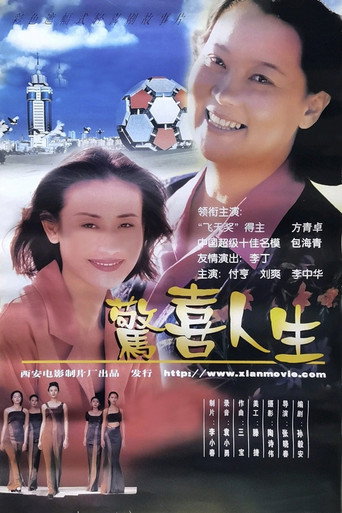 Póster de 惊喜人生