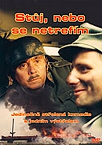 Póster de Stůj, nebo se netrefím