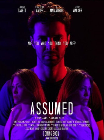 Póster de Assumed