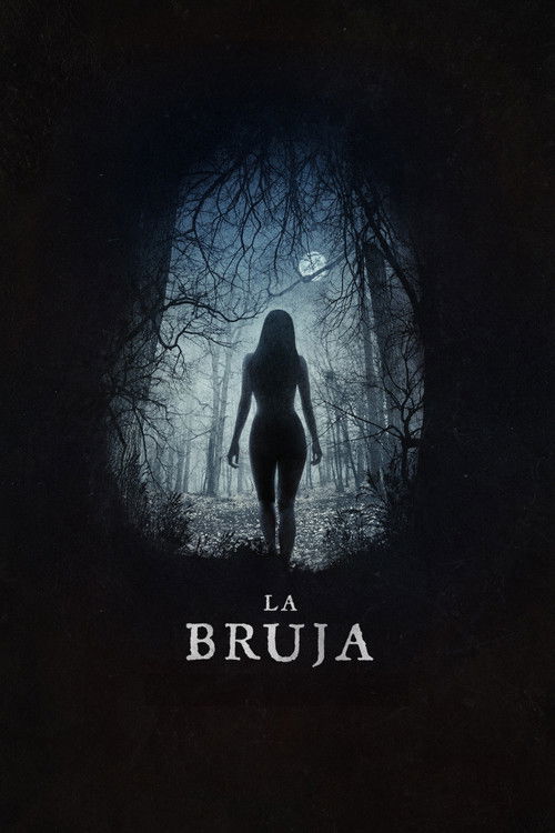 Póster de La Bruja