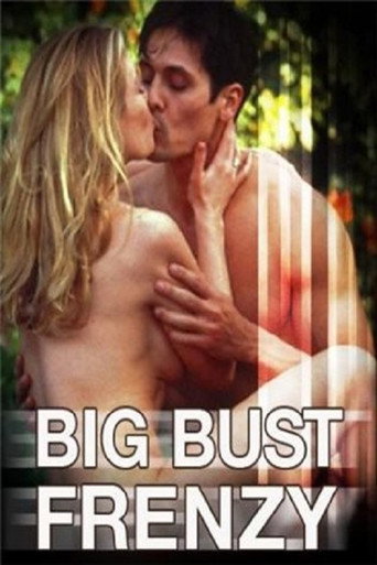 Póster de Big Bust Frenzy