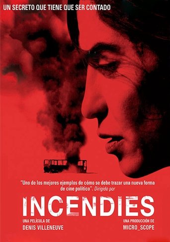 Póster de Incendios