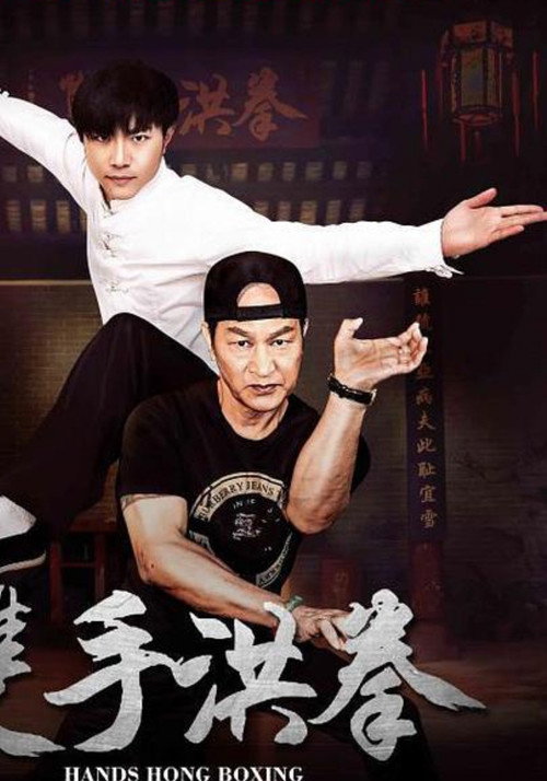 Póster de 双手洪拳