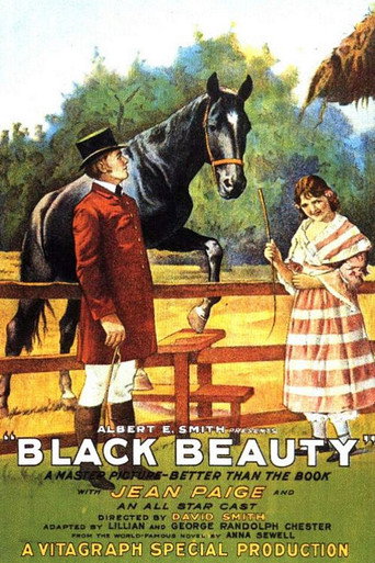 Póster de Black Beauty