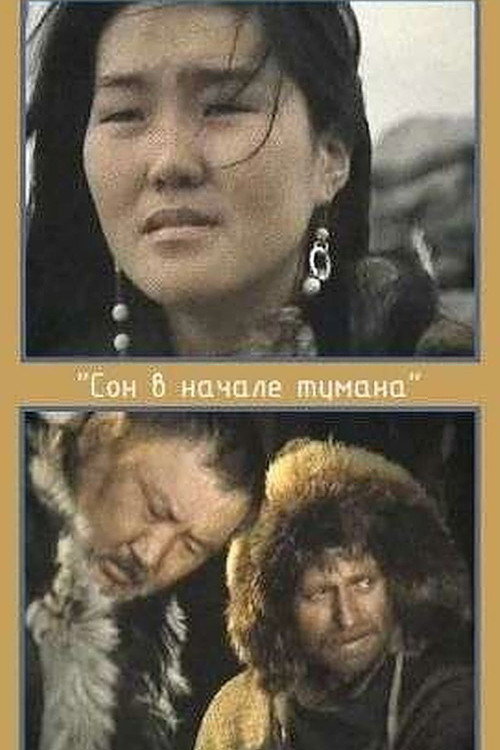 Póster de Сон в начале тумана