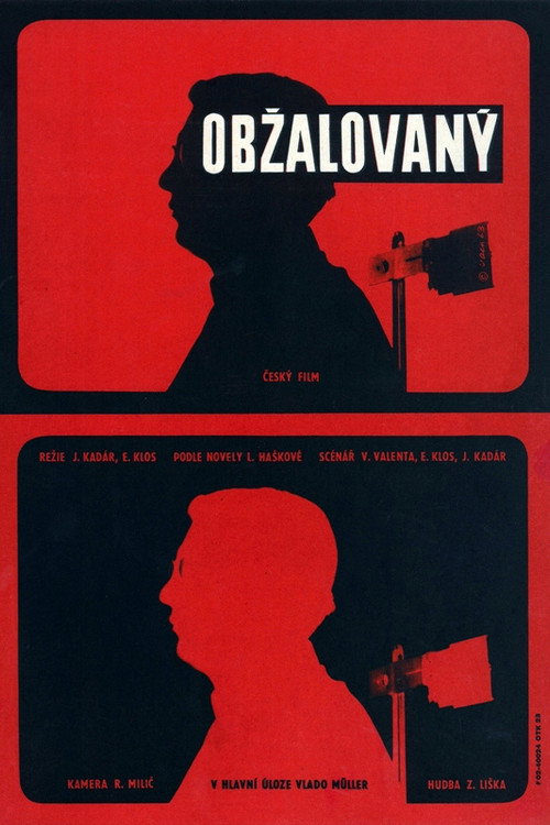Póster de Obžalovaný