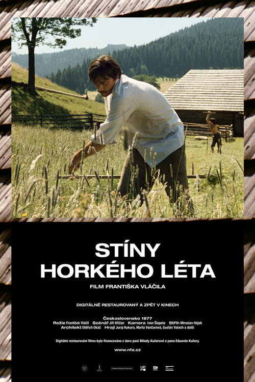 Póster de Stíny horkého léta