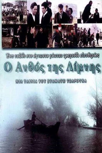 Póster de Ο ανθός της λίμνης