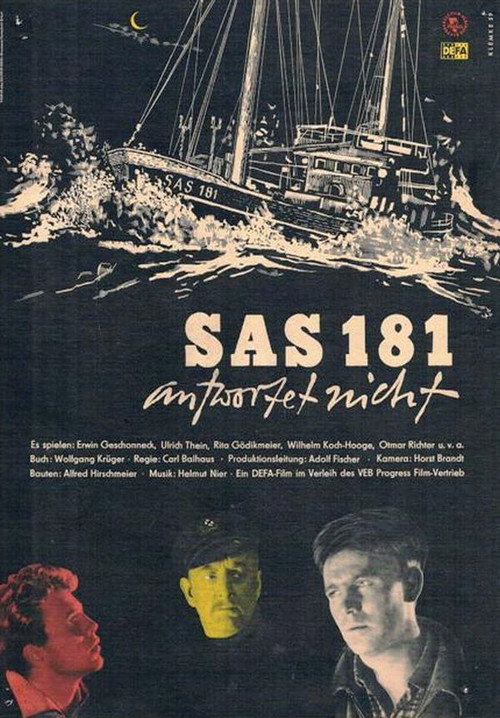Póster de SAS 181 antwortet nicht