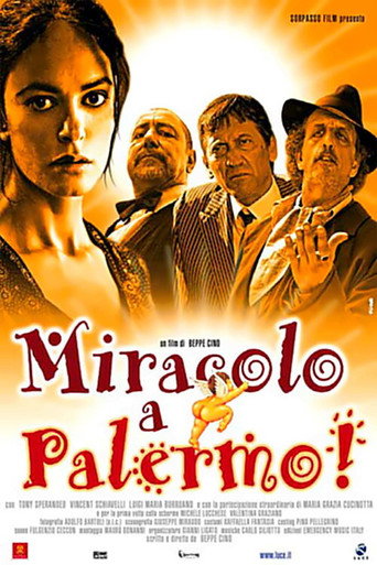 Póster de Miracolo a Palermo!