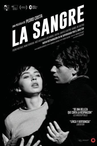 Póster de O Sangue
