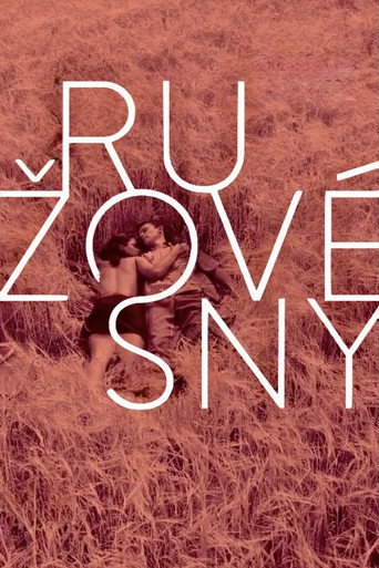 Póster de Ružové sny