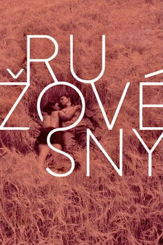 Póster de Ružové sny