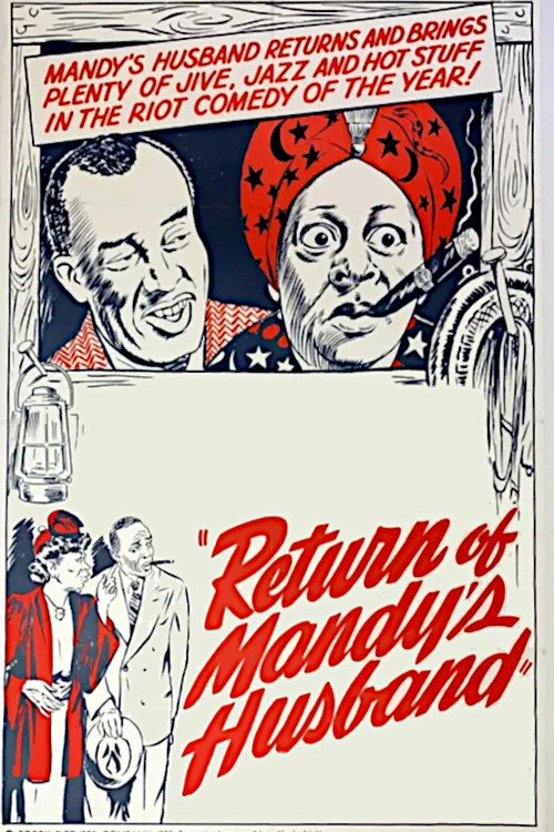 Póster de Return of Mandy's Husband