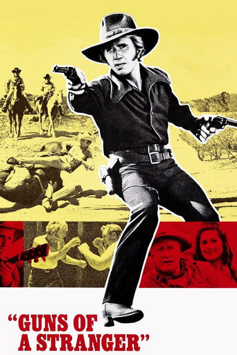 Póster de Guns of a Stranger