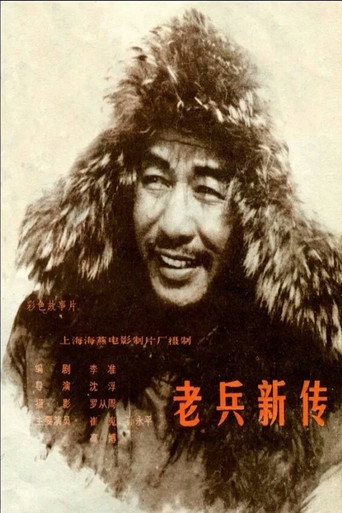 Póster de 老兵新传
