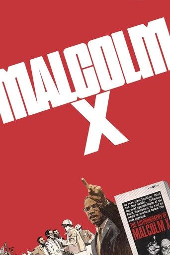 Póster de Malcolm X