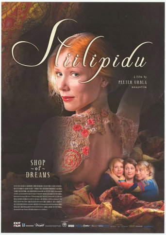 Póster de Stiilipidu