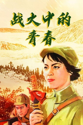Póster de 战火中的青春