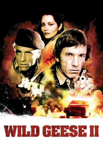 Póster de Wild Geese II