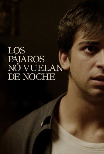 Póster de Los pájaros no vuelan de noche