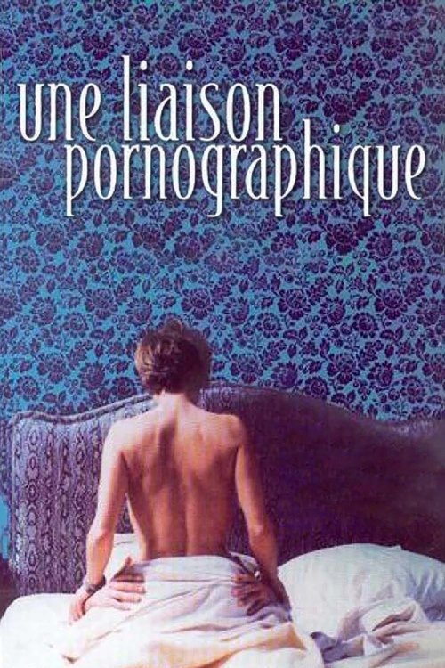 Póster de Une liaison pornographique