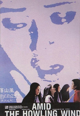 Póster de 落山风