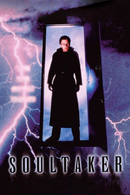 Póster de Soultaker