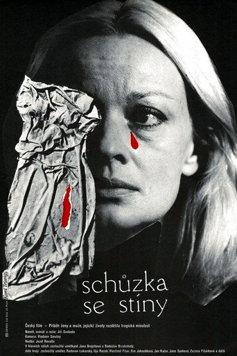 Póster de Schůzka se stíny