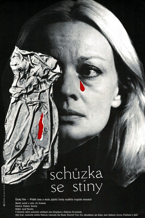 Póster de Schůzka se stíny
