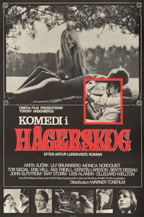 Póster de Komedi i Hägerskog