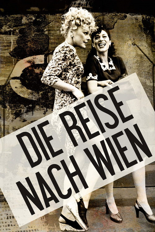 Póster de Die Reise nach Wien