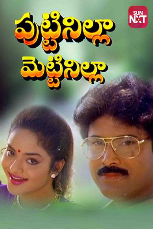 Póster de పుట్టినిల్ల మెట్టినిల్ల