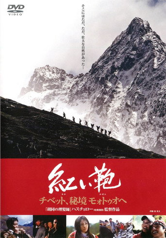 Póster de 心跳墨脱