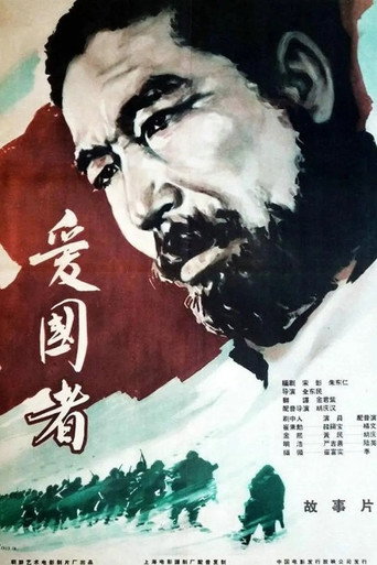 Póster de 애국자
