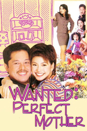 Póster de Wanted: Perfect Mother