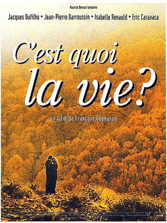 Póster de C'est quoi la vie ?