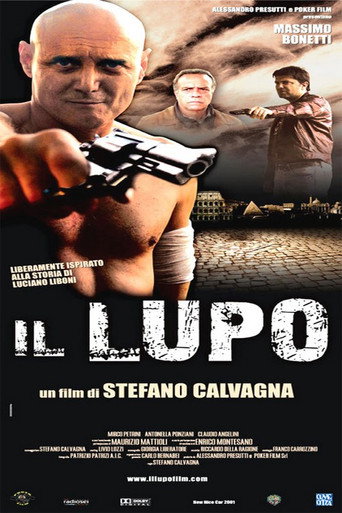 Póster de Il Lupo